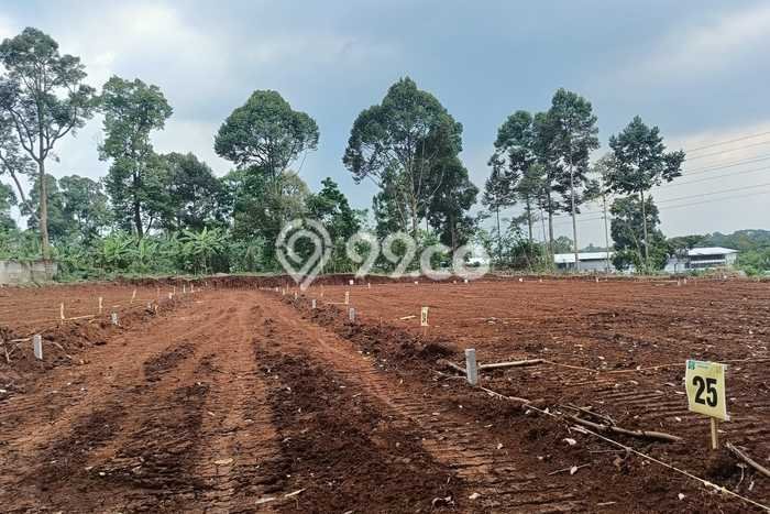 HARGA MENARIK! Tanah di Gunung Pati, Luas 120m², Lingkungan Nyaman, Bebas Banjir HARGA MENARIK! Tanah di Gunung Pati, Luas 120m², Lingkungan Nyaman, Bebas Banjir