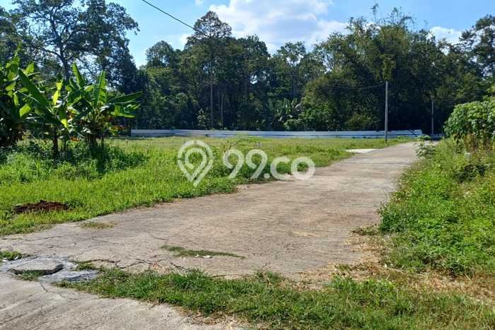 PENAWARAN MENARIK! Tanah Kawasan Gunung Pati, Luas 120m², Area Potensial PENAWARAN MENARIK! Tanah Kawasan Gunung Pati, Luas 120m², Area Potensial