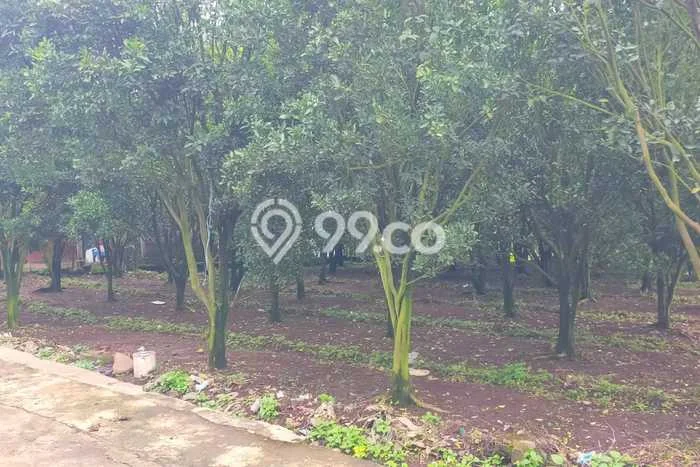 Tanah Dijual Lokasi Dau Malang SHM Tanah Dijual Lokasi Dau Malang SHM
