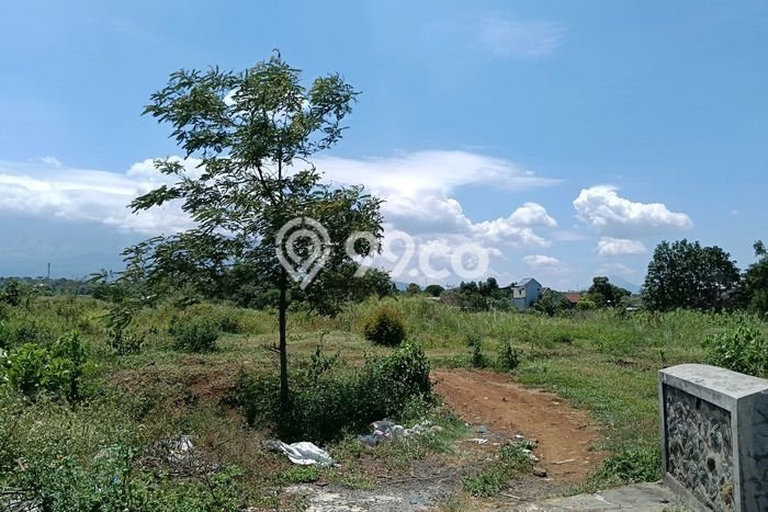 Lahan untuk Dijual Lokasi Purwosari, Pasuruan Luas 22150m2 SHM Lahan untuk Dijual Lokasi Purwosari, Pasuruan Luas 22150m2 SHM