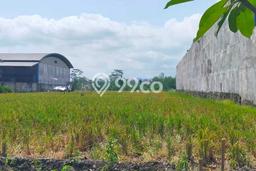 Tanah Strategis Dijual di Pakisaji Malang 6110m2 Tanah Strategis Dijual di Pakisaji Malang 6110m2