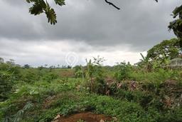 Tanah di Sukun, Luas 5005m2m², Dekat Sukun, Malang, Malang Tanah di Sukun, Luas 5005m2m², Dekat Sukun, Malang, Malang
