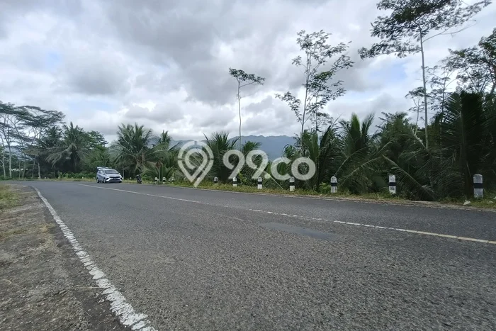 Tanah Kosong Dijual di Trenggalek dengan Area 4036m2 Tanah Kosong Dijual di Trenggalek dengan Area 4036m2