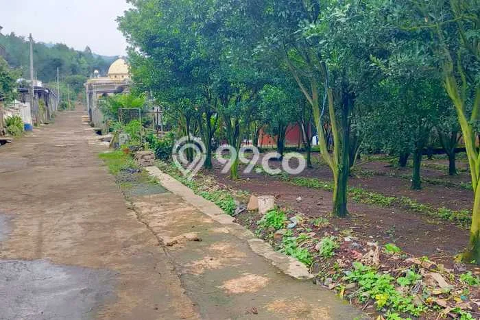 Tanah Dijual Lokasi Dau Malang SHM Tanah Dijual Lokasi Dau Malang SHM