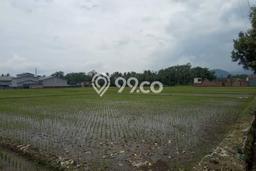 Tanah di Pakisaji, Luas 3300m2m², Lokasi Potensial, Kawasan Asri, Bebas Banjir Tanah di Pakisaji, Luas 3300m2m², Lokasi Potensial, Kawasan Asri, Bebas Banjir