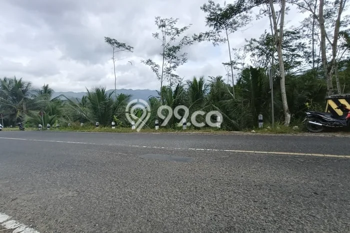 Tanah Kosong Dijual di Trenggalek dengan Area 4036m2 Tanah Kosong Dijual di Trenggalek dengan Area 4036m2