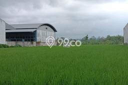 Tanah Area Berkembang di Pakisaji, Luas 12070m2m², Kawasan Asri, Dekat Pakisaji, Malang, Malang Tanah Area Berkembang di Pakisaji, Luas 12070m2m², Kawasan Asri, Dekat Pakisaji, Malang, Malang