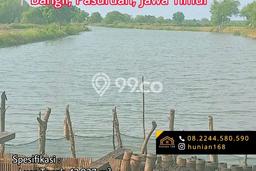 Tanah di Bangil, Pasuruan Luas 42937m2 Dijual Segera Tanah di Bangil, Pasuruan Luas 42937m2 Dijual Segera