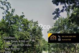 Lahan untuk Dijual Lokasi Paiton, Probolinggo Luas 4000m2 SHM Lahan untuk Dijual Lokasi Paiton, Probolinggo Luas 4000m2 SHM