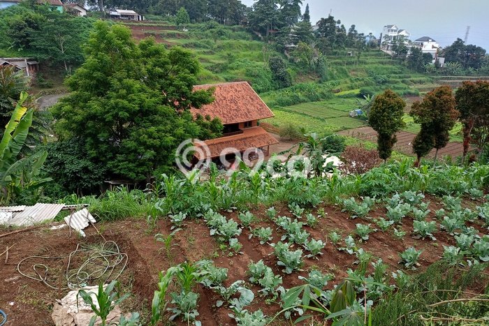 Tanah Kavling untuk Dijual di Cimahi Utara Cimahi 2850m2 Tanah Kavling untuk Dijual di Cimahi Utara Cimahi 2850m2
