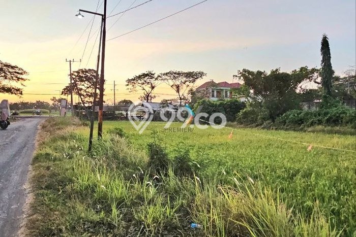 Tanah Dijual Lokasi Pohjentrek Pasuruan SHM Tanah Dijual Lokasi Pohjentrek Pasuruan SHM