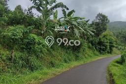 Tanah Dijual Lokasi Wagir, Malang dengan Luas Tanah 2476m2 dan Status SHM Tanah Dijual Lokasi Wagir, Malang dengan Luas Tanah 2476m2 dan Status SHM