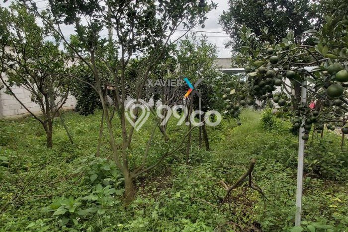 Unit Komersial Disewakan di Malang Area Strategis Harga Kompetitif Unit Komersial Disewakan di Malang Area Strategis Harga Kompetitif