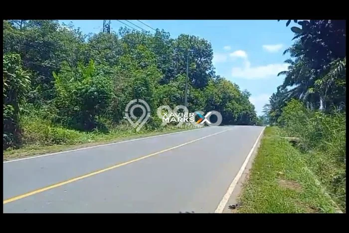 Tanah Dijual Lokasi Abung Barat Lampung Utara SHM Tanah Dijual Lokasi Abung Barat Lampung Utara SHM
