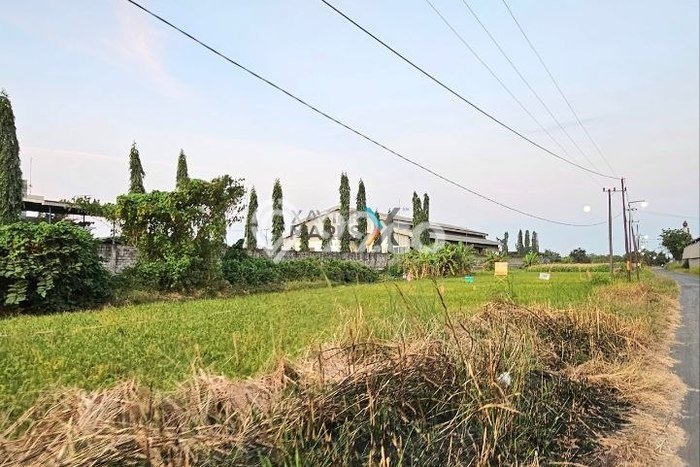 Tanah Dijual Lokasi Pohjentrek Pasuruan SHM Tanah Dijual Lokasi Pohjentrek Pasuruan SHM