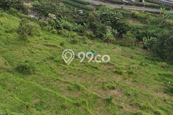Dijual Tanah di Malang, Luas 10187m2 SHM Dijual Tanah di Malang, Luas 10187m2 SHM