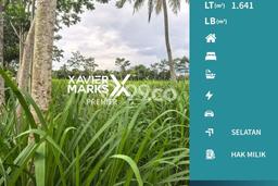 Lahan Kosong Dijual di Malang dengan Area 1641m2 Lahan Kosong Dijual di Malang dengan Area 1641m2