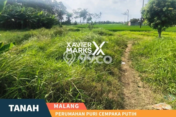 Tanah Investasi Dijual di Malang Punya Luas 392m2 Tanah Investasi Dijual di Malang Punya Luas 392m2