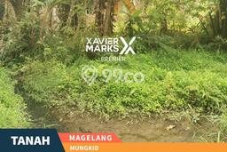 Tanah Dijual di Magelang Seluas 3820m2 Strategis Tanah Dijual di Magelang Seluas 3820m2 Strategis