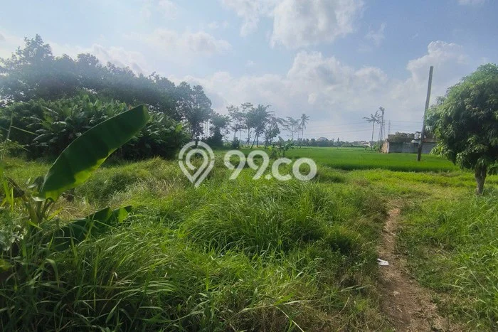 Tanah Investasi Dijual di Malang Punya Luas 392m2 Tanah Investasi Dijual di Malang Punya Luas 392m2