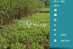 Tanah Dijual Lokasi Singosari, Malang Luas 865m2 Legalitas Aman Tanah Dijual Lokasi Singosari, Malang Luas 865m2 Legalitas Aman