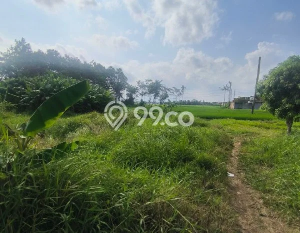 Tanah Investasi Dijual di Malang Punya Luas 392m2 Tanah Investasi Dijual di Malang Punya Luas 392m2
