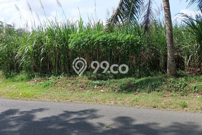 Lahan Strategis di Tajinan Dijual dengan Luas 1600m2 Lahan Strategis di Tajinan Dijual dengan Luas 1600m2