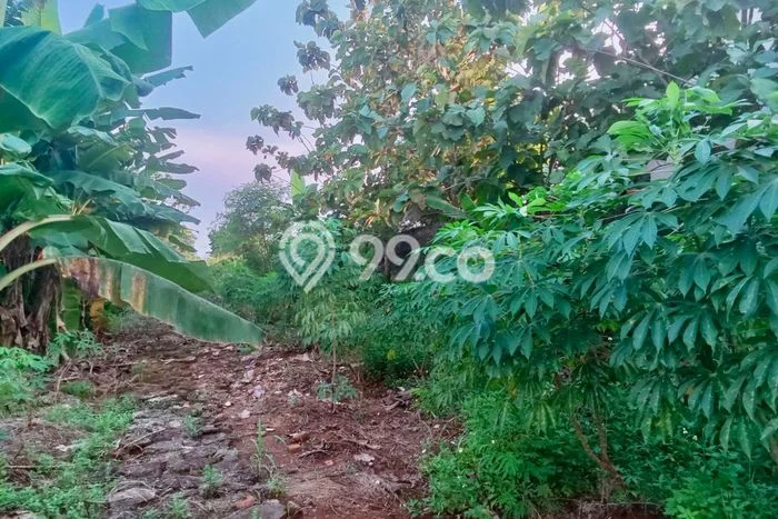 Tanah untuk Dijual di Gunung Putri Bogor Luas 4492m2 Tanah untuk Dijual di Gunung Putri Bogor Luas 4492m2