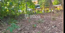 Lahan Strategis di Galur Dijual dengan Luas 533m2 Lahan Strategis di Galur Dijual dengan Luas 533m2