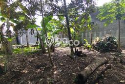 Tanah Dijual Lokasi Ngaglik, Sleman dengan Luas Tanah 120m2 dan Status SHM Tanah Dijual Lokasi Ngaglik, Sleman dengan Luas Tanah 120m2 dan Status SHM