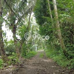 Kavling Tanah di Tempel Dijual Luas 1085m2 Legalitas SHM Kavling Tanah di Tempel Dijual Luas 1085m2 Legalitas SHM