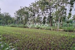 Tanah Komersial Dijual di Semanu Gunung Kidul 966m2 Tanah Komersial Dijual di Semanu Gunung Kidul 966m2