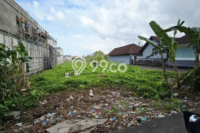 Tanah Siap Bangun Dijual di Badung Punya Luas 1000m2 Tanah Siap Bangun Dijual di Badung Punya Luas 1000m2