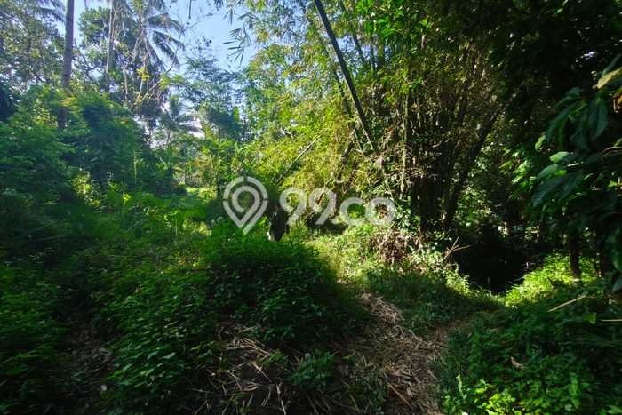 Tanah Kawasan Magelang Tengah, Luas 4225m2m², Jalur Strategis Tanah Kawasan Magelang Tengah, Luas 4225m2m², Jalur Strategis