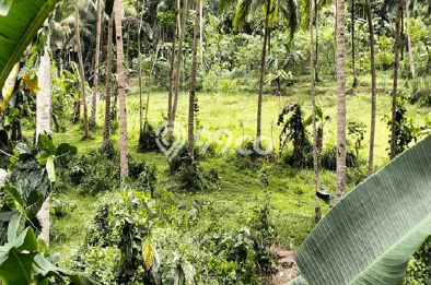 Jual Tanah Lokasi Prima Kawasan Kalipucang, Luas 4131m2m², Dekat Fasilitas Umum Jual Tanah Lokasi Prima Kawasan Kalipucang, Luas 4131m2m², Dekat Fasilitas Umum