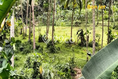 Jual Tanah Lokasi Prima Kawasan Kalipucang, Luas 4131m2m², Dekat Fasilitas Umum Jual Tanah Lokasi Prima Kawasan Kalipucang, Luas 4131m2m², Dekat Fasilitas Umum
