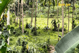 Jual Tanah Lokasi Prima Kawasan Kalipucang, Luas 4131m2m², Dekat Fasilitas Umum Jual Tanah Lokasi Prima Kawasan Kalipucang, Luas 4131m2m², Dekat Fasilitas Umum