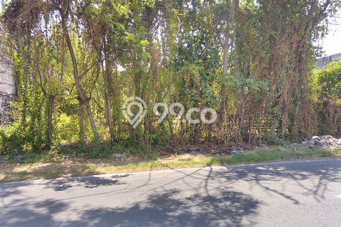 HARGA TERBAIK! Tanah Kawasan Rembang, Luas 10429m2m², Dekat Jalan Utama, Cocok untuk Investasi HARGA TERBAIK! Tanah Kawasan Rembang, Luas 10429m2m², Dekat Jalan Utama, Cocok untuk Investasi