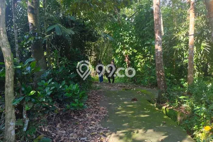 Tanah Kawasan Magelang Tengah, Luas 4225m2m², Jalur Strategis Tanah Kawasan Magelang Tengah, Luas 4225m2m², Jalur Strategis