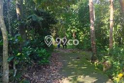 Tanah Kawasan Magelang Tengah, Luas 4225m2m², Jalur Strategis Tanah Kawasan Magelang Tengah, Luas 4225m2m², Jalur Strategis