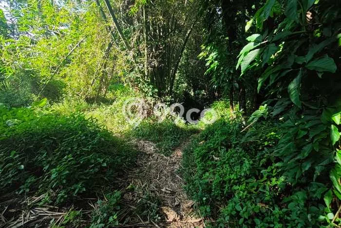 Tanah Kawasan Magelang Tengah, Luas 4225m2m², Jalur Strategis Tanah Kawasan Magelang Tengah, Luas 4225m2m², Jalur Strategis