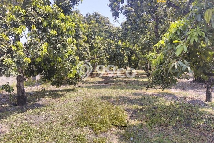 HARGA TERBAIK! Tanah Kawasan Rembang, Luas 10429m2m², Dekat Jalan Utama, Cocok untuk Investasi HARGA TERBAIK! Tanah Kawasan Rembang, Luas 10429m2m², Dekat Jalan Utama, Cocok untuk Investasi