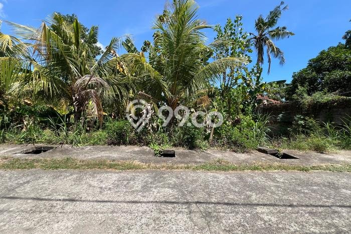 Kavling Tanah untuk Dijual di Lovina, Buleleng, Luas 400m2 Kavling Tanah untuk Dijual di Lovina, Buleleng, Luas 400m2