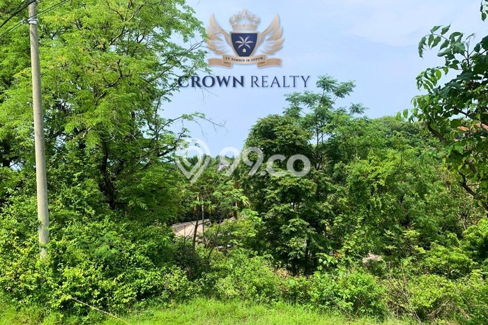 Kavling Tanah untuk Dijual di Kayuputih, Buleleng, Luas 2000m2 Kavling Tanah untuk Dijual di Kayuputih, Buleleng, Luas 2000m2
