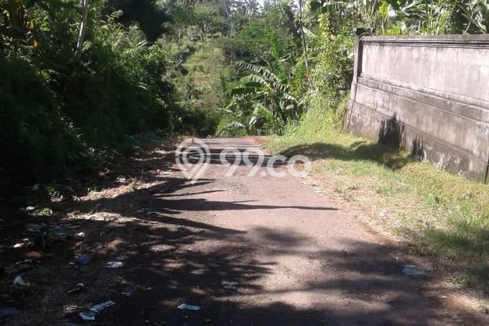 Kavling Tanah di Payangan Dijual Luas 140000m2 Legalitas SHM Kavling Tanah di Payangan Dijual Luas 140000m2 Legalitas SHM