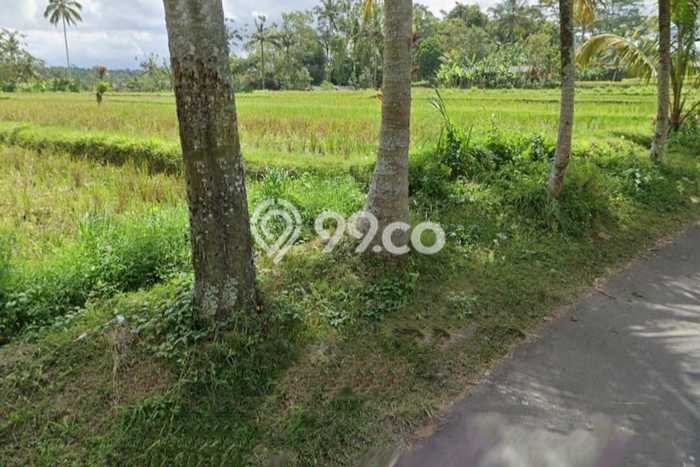 Tanah Kosong Dijual di Gianyar dengan Area 1000m2 Tanah Kosong Dijual di Gianyar dengan Area 1000m2