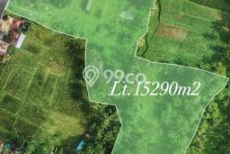 Kavling Tanah di Tegallalang Dijual Luas 15000m2 Legalitas SHM Kavling Tanah di Tegallalang Dijual Luas 15000m2 Legalitas SHM