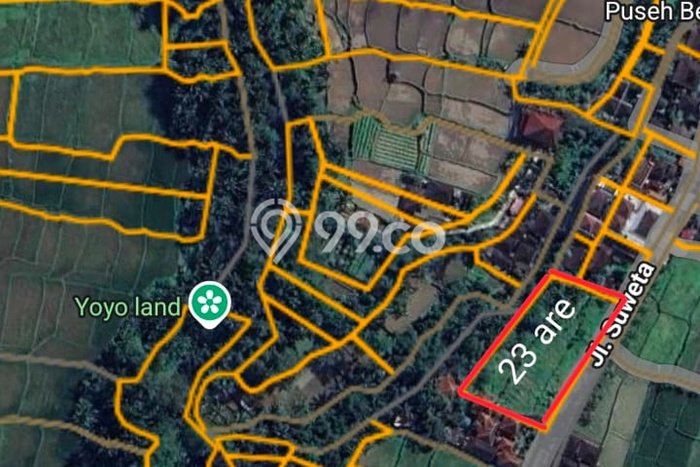 Kavling Tanah Disewakan di Ubud Gianyar Luas 2300m2 Strategis Kavling Tanah Disewakan di Ubud Gianyar Luas 2300m2 Strategis
