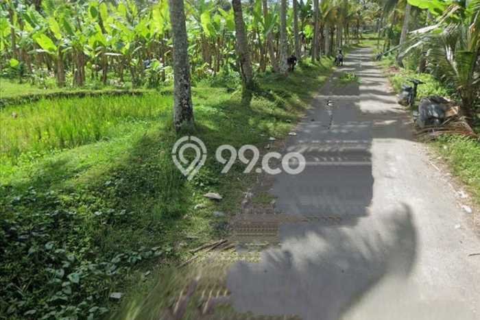 Tanah Kosong Dijual di Gianyar dengan Area 1000m2 Tanah Kosong Dijual di Gianyar dengan Area 1000m2