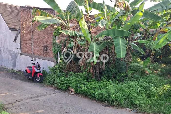 Dijual Tanah 195m2 di Ketileng, Semarang Dijual Tanah 195m2 di Ketileng, Semarang